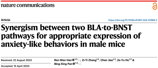 a7a487045bc54ca099fed6216d280bcd.png image.png